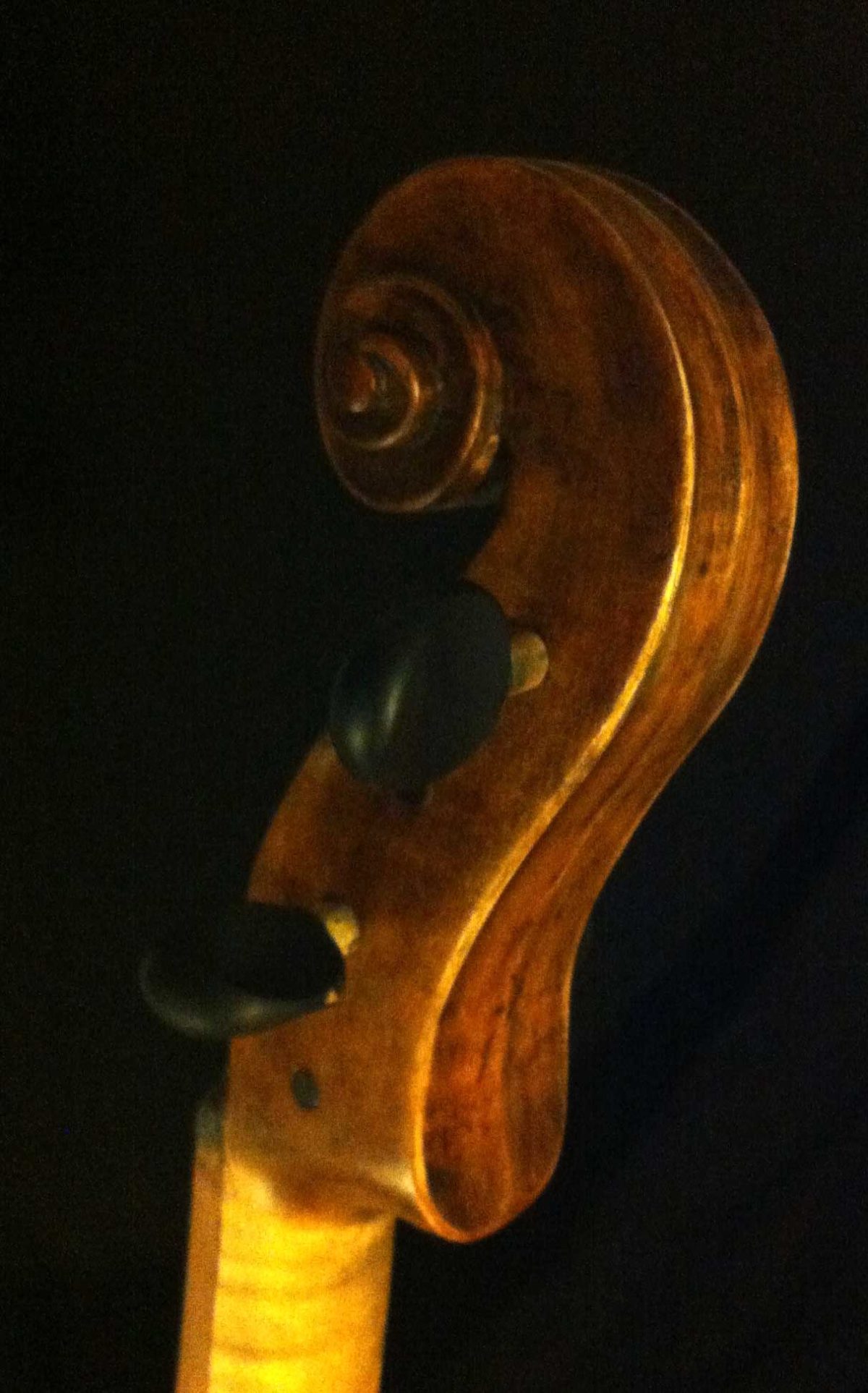 Baroque cello Basse de Violon Violoncello piccolo, 5 string cello