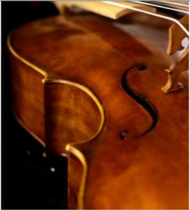 Venetian baroque cello