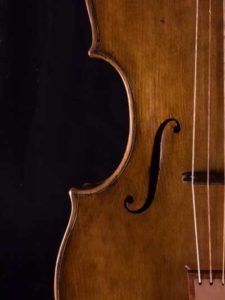 Renaissance Viola soundhole all gut strings