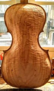 baroque cello willow back