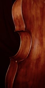 Baroque violoncello back ribs