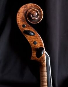 Andrea Guarneri viola scroll head