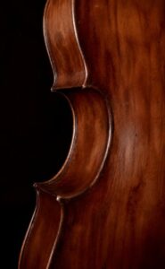 center bout and and willow back of a baroque cello