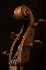 Venetian cello scroll head frontal view